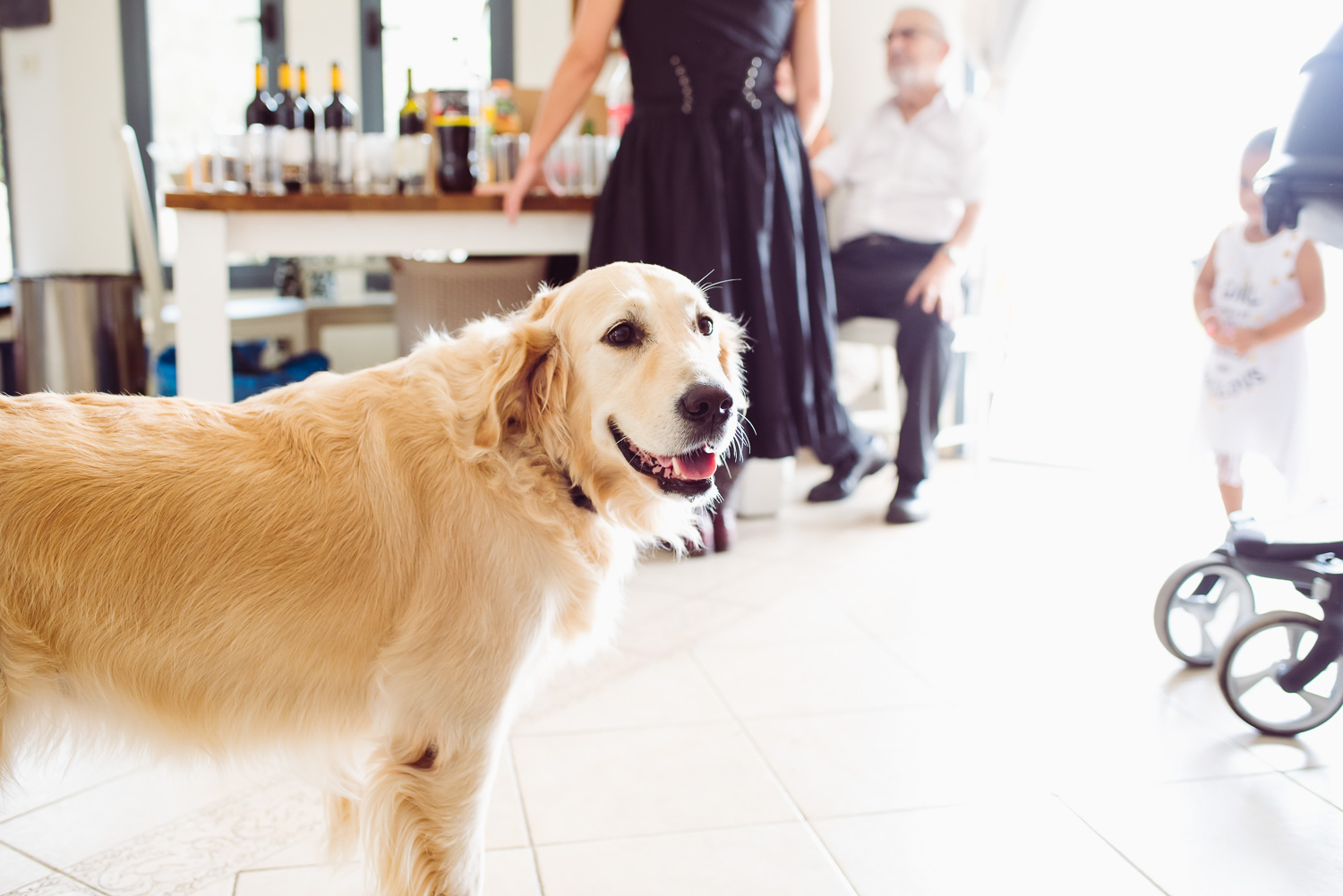 בר המצווה של טל ושחר בית שמואלי רעננה | צילום בר מצווה אמנון חורש