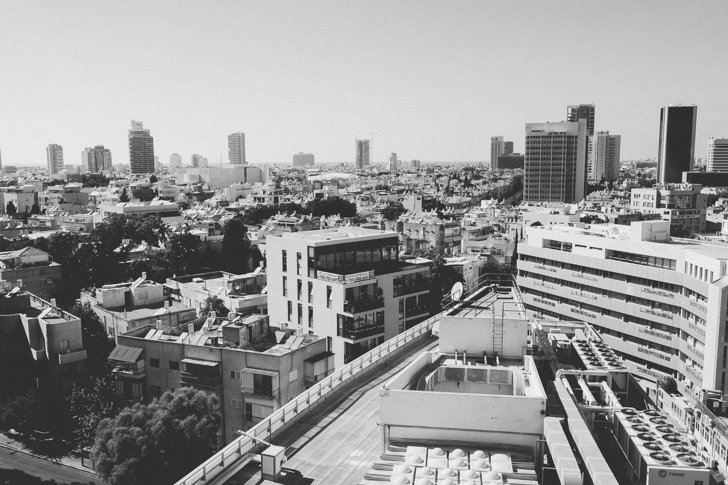 חתונת צהריים סורא מארה - החתונה של הילה ועידו | צלם אמנון חורש