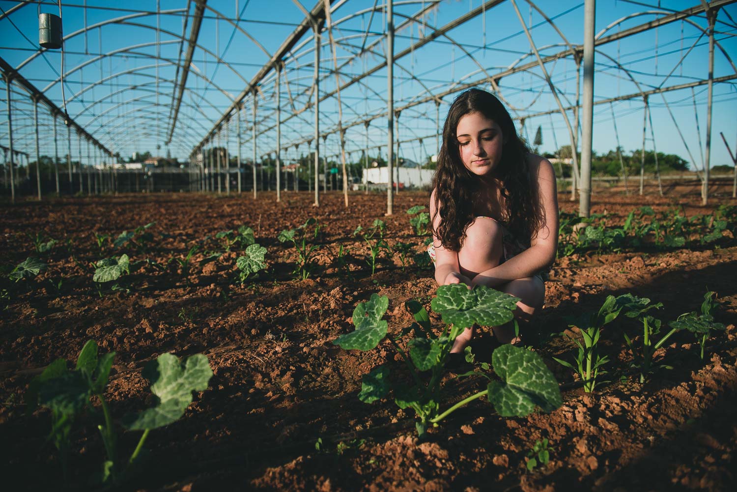 בוק בת מצווה מיקה | צילום אמנון חורש