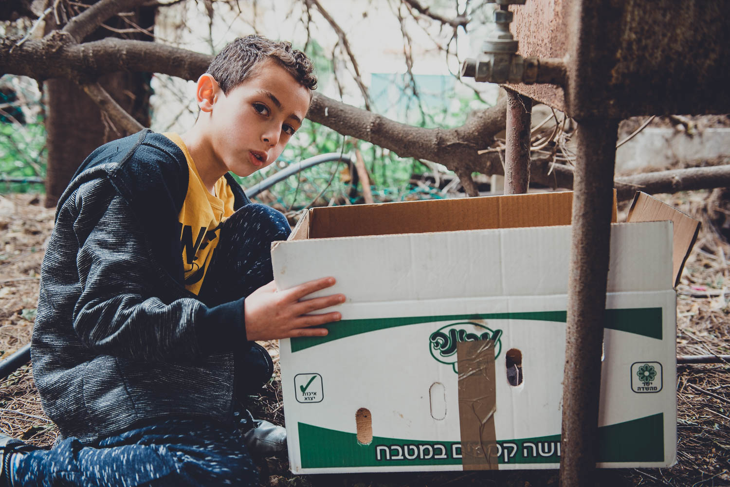 צילומי משפחה שבת אצל משפחת אופר | צלם משפחה אמנון חורש